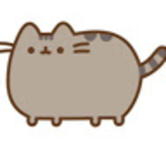 pusheen035